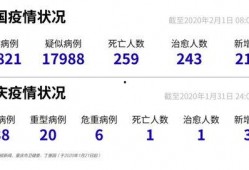 重庆新冠爆料最新消息,追踪病毒变异与防控措施动态
