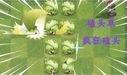 最新 植物爆料,这些植物竟有如此神奇功效！