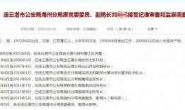 巡查员最新爆料新闻稿,揭露XX行业惊人内幕